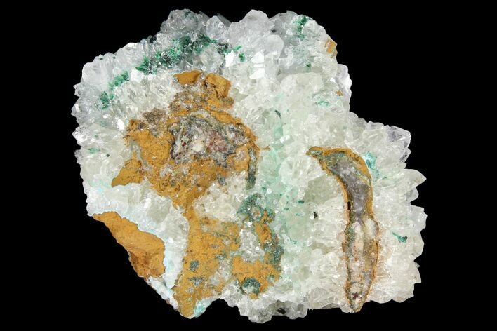 Atacamite, Quartz & Selenite Association - Peru #98168